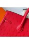 Birkin Ostrich Ck95 Ferrari red Gold Hardware Ghw 25cm Full Handmade