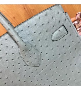 HAC Ostrich 8F tinware grey Silver Hardware 40cm Full Handmade