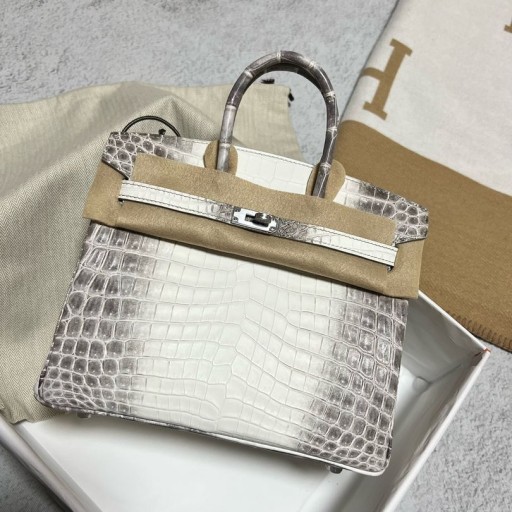 Birkin Himalaya Matte crocodile Hardware Argento Phw 25cm Pieno fatto a Mano