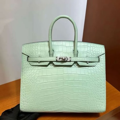 Birkin Sellier Opaco Alligatore coccodrillo Verde chiaro Argento Hardware 25cm Pieno fatto a Mano Phw