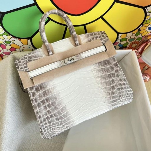 Birkin Himalaya Matt krokodille Sølv Maskinvare PHW 25 cm Full Håndlaget