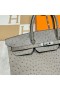 Birkin Struț M8 gris ashpite Argint Hardware Phw 40cm Full Manual