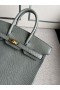 Birkin Lizard ck81 Gris T Zlata Hardvéru GHW 25 cm Full Ručné