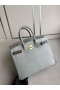 Birkin Lizard ck81 Gris T Zlata Hardvéru GHW 25 cm Full Ručné