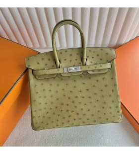 Birkin PÅ¡trosie 6 G trávnik zelený Silver Hardvéru 25 cm Full RuÄné Phw