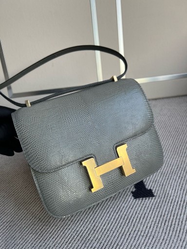 Constance Lizard ck81 Gris T Zlatni Okovi GHW 18 cm u Potpunosti Ručni Rad