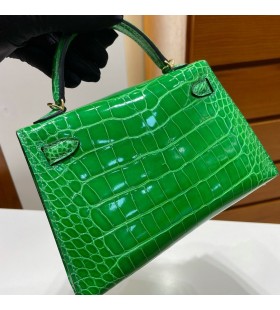 Mini Kelly ll Aligator je sjajna kaktus зеленоÐолоÑÐ°Ñ Okovi 19 cm u Potpunosti RuÄni Rad