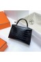 Mini kelly ll Aligátor Matný ck89 Černá Stříbrná Hardware Phw 19cm Plná Ruční práce