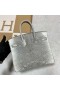 Birkin Hagedis 01 Natuurlijke kleur Zilver Hardware 25cm Volledig Handgemaakt