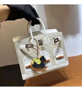 Krokotiili Birkin Pieni Talo Valkoinen Hopea Laitteisto-20cm Koko Käsintehty Phw