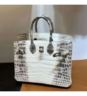 Birkin Crocodile de l'Himalaya Argent Matériel 25cm Pleine Main Phw